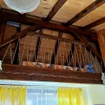 Dolphin Bulgaria 3* Zgorigrad