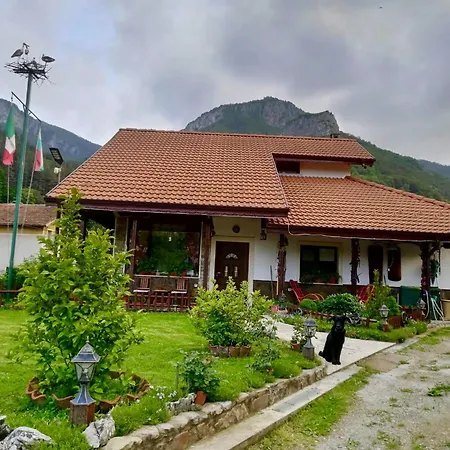 Pensjonat Dolphin Bulgaria