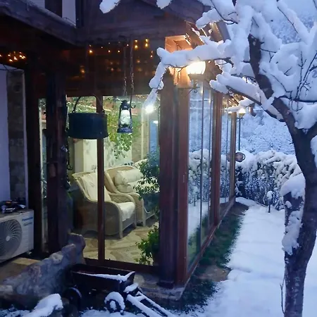 Dolphin Bulgaria Pensjonat