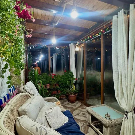 Dolphin Bulgaria Pensjonat Zgorigrad