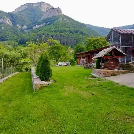 Dolphin Bulgaria Pensjonat 3*