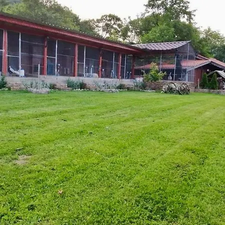 Dolphin Bulgaria Pensjonat 3*