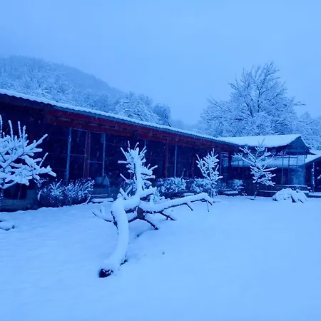 Dolphin Bulgaria Pensjonat