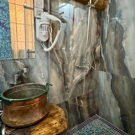 Dolphin Bulgaria Zgorigrad