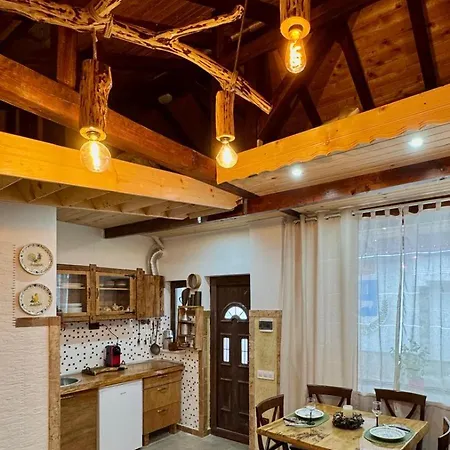 Dolphin Bulgaria Zgorigrad