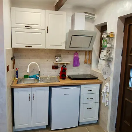 Dolphin Bulgaria Pensjonat