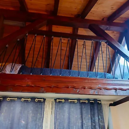 Dolphin Bulgaria Pensjonat 3*