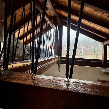 Dolphin Bulgaria 3* Zgorigrad