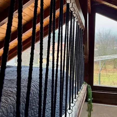 Dolphin Bulgaria Pensjonat