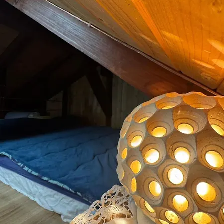 Dolphin Bulgaria Къща за гости 3*