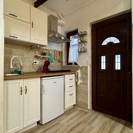 Dolphin Bulgaria Zgorigrad