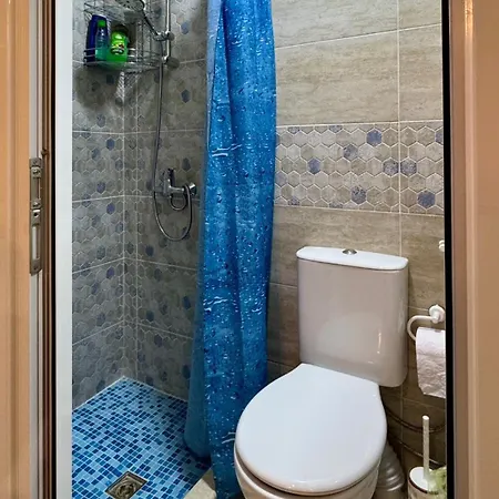 Dolphin Bulgaria Zgorigrad