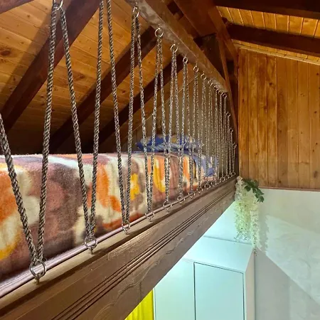 Dolphin Bulgaria Zgorigrad