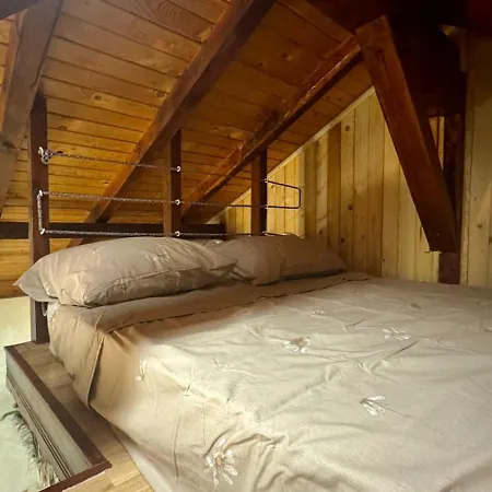 Pensjonat Dolphin Bulgaria 3*