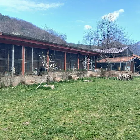 Dolphin Bulgaria 3*