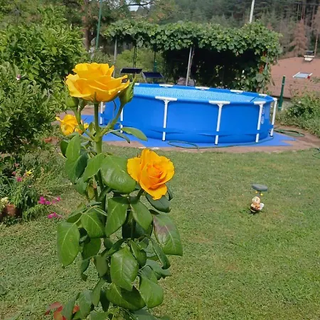 Dolphin Bulgaria 3* Zgorigrad
