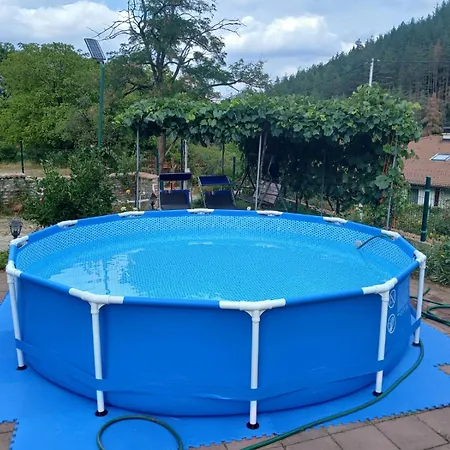 Къща за гости Dolphin Bulgaria