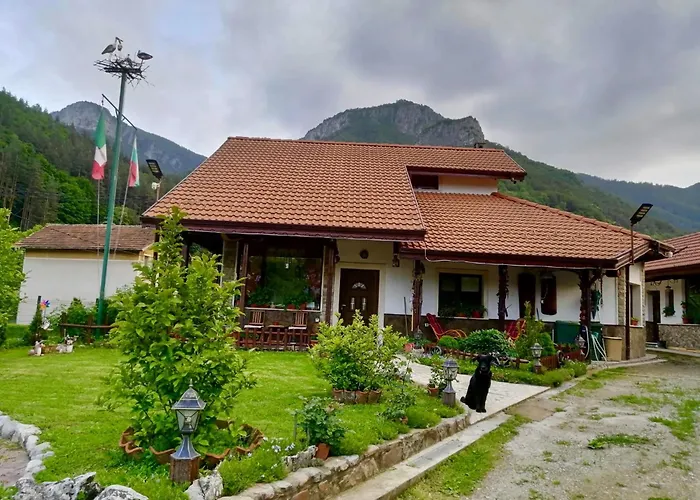 Πανσιόν Dolphin Bulgaria