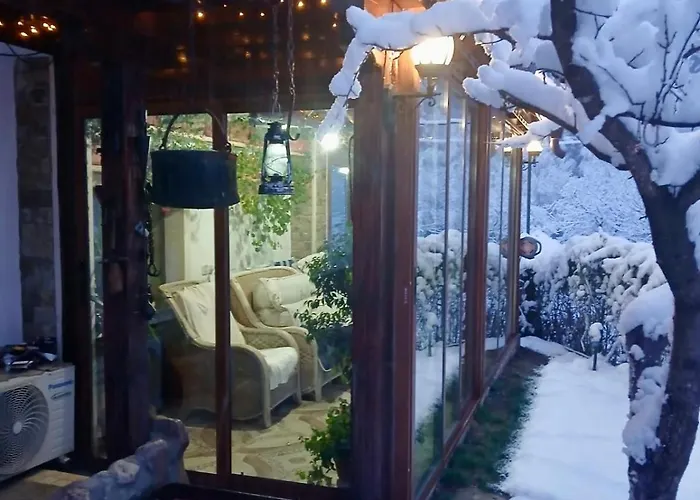 Dolphin Bulgaria Πανσιόν