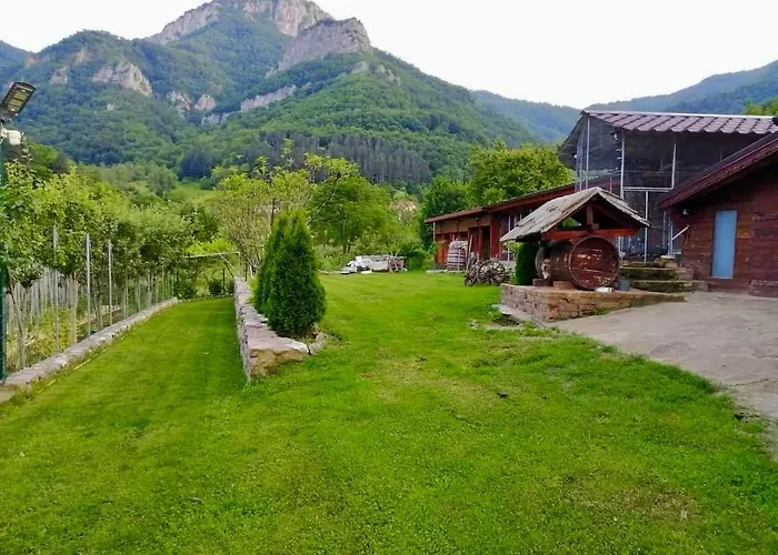 Dolphin Bulgaria Πανσιόν 3*