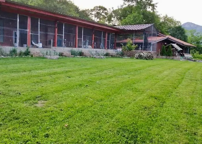 Dolphin Bulgaria Πανσιόν 3*