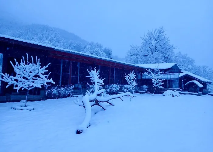 Dolphin Bulgaria Πανσιόν