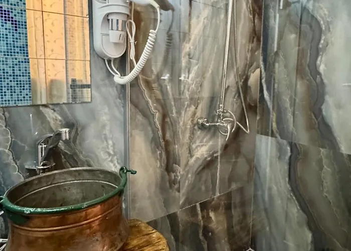 Dolphin Bulgaria Zgorigrad