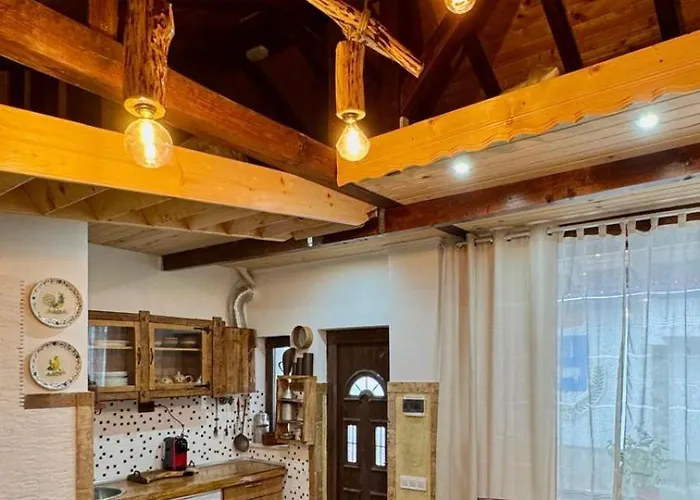 Dolphin Bulgaria Zgorigrad