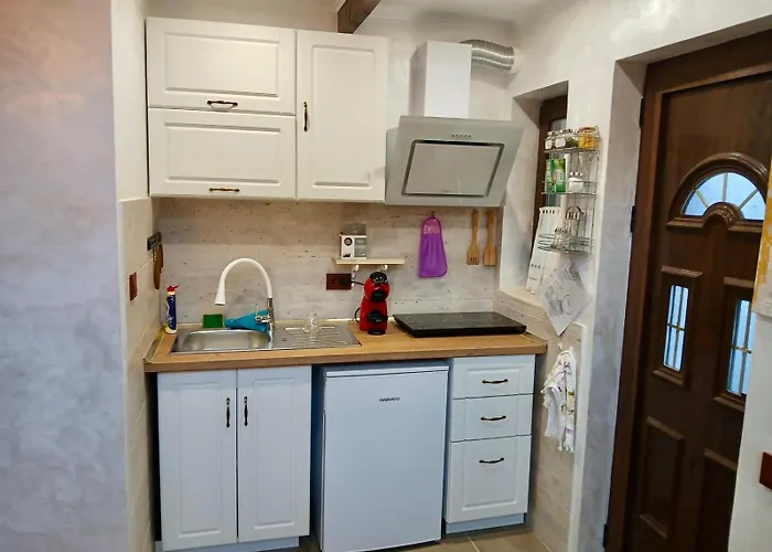 Dolphin Bulgaria Πανσιόν