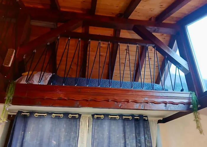 Dolphin Bulgaria Πανσιόν 3*