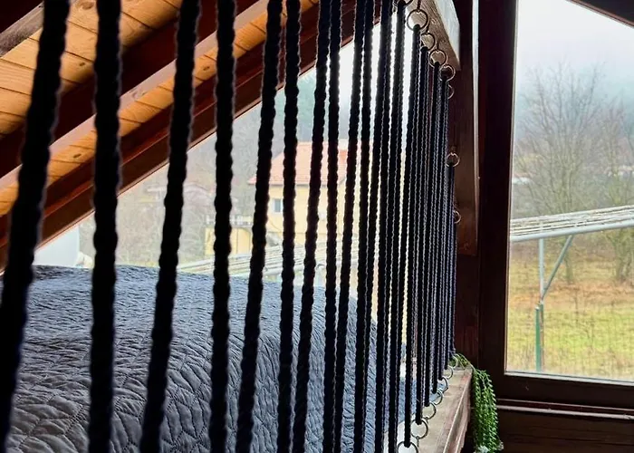 Dolphin Bulgaria Πανσιόν