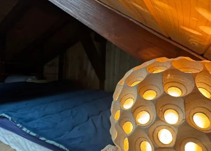 Dolphin Bulgaria Πανσιόν 3*