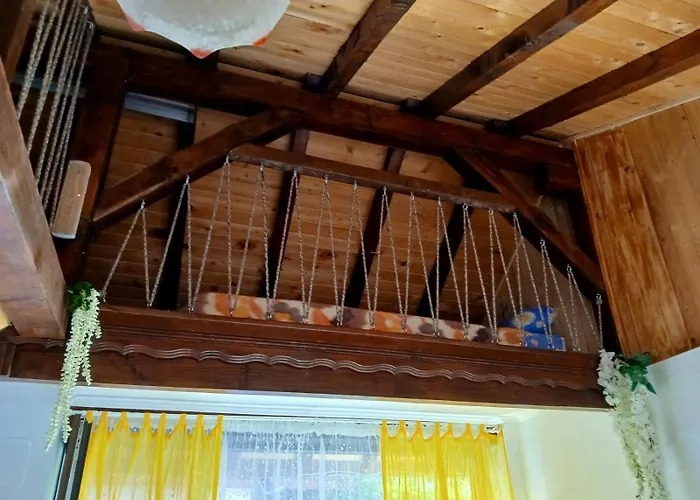 Dolphin Bulgaria 3* Zgorigrad