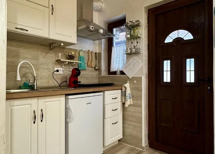 Dolphin Bulgaria Zgorigrad