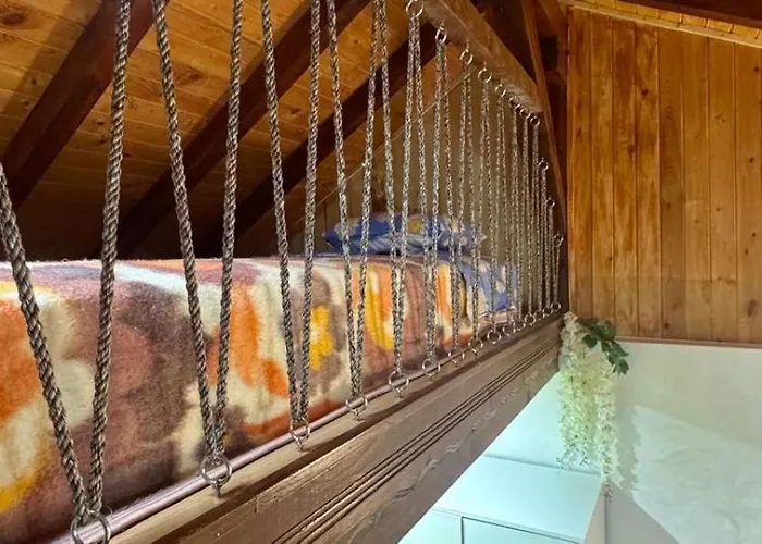 Dolphin Bulgaria Zgorigrad