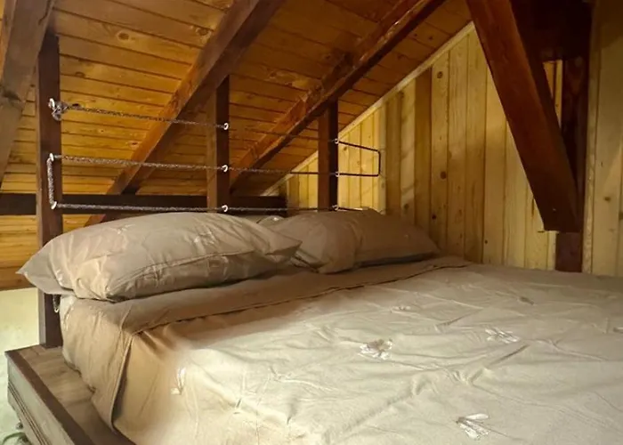 Πανσιόν Dolphin Bulgaria 3*